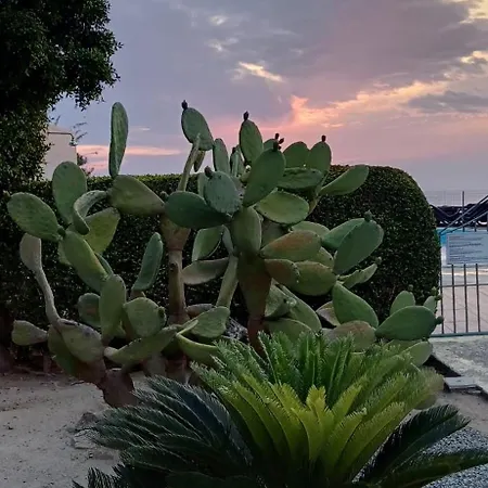 Apartament Terrazzo A9 Parghelia