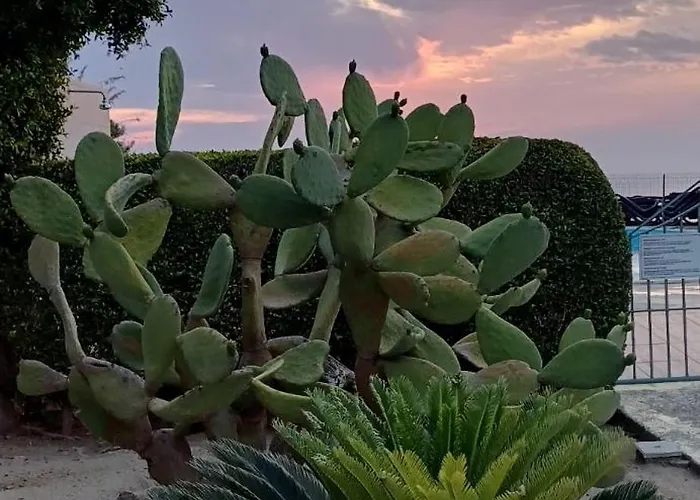 Apartamento Terrazzo A9 Parghelia