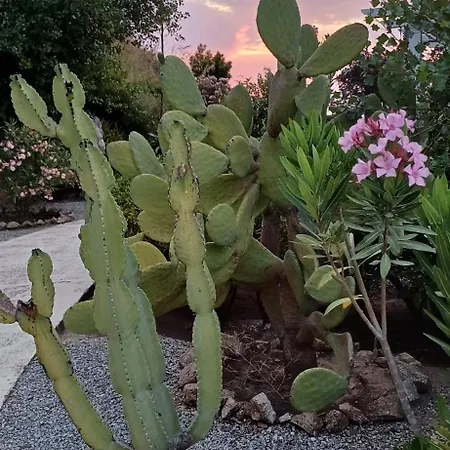 Terrazzo A9 Parghelia