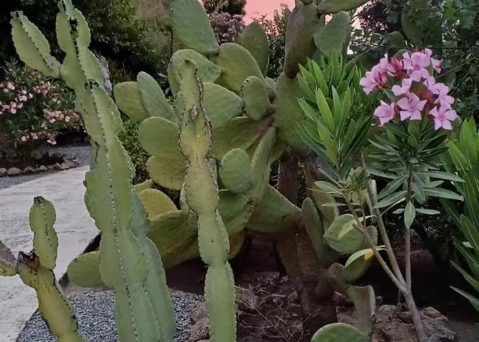 Terrazzo A9 Parghelia