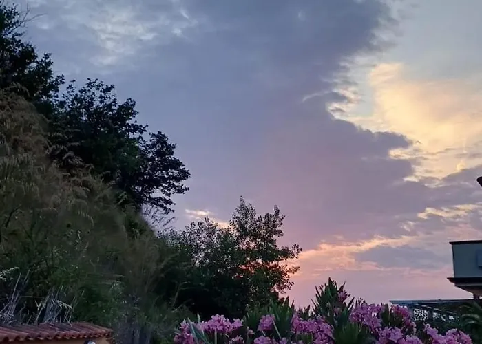 Apartamento Terrazzo A9 *